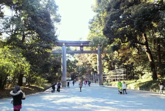 樹齢1500年！