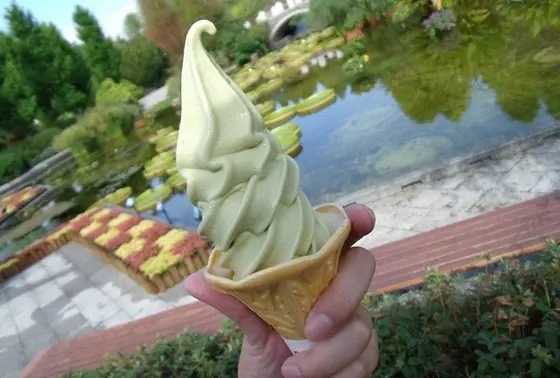 名物ハスソフト