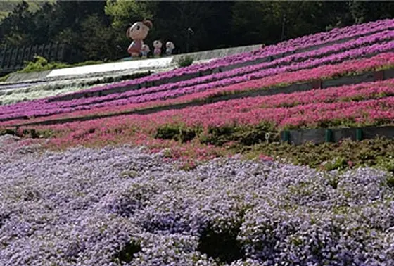 芝桜の小道
