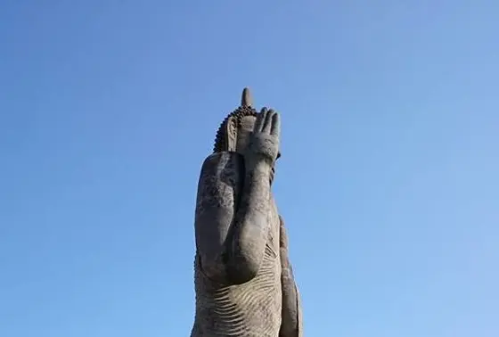 お顔はいやーよ