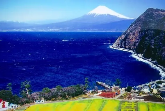 富士山と菜の花
