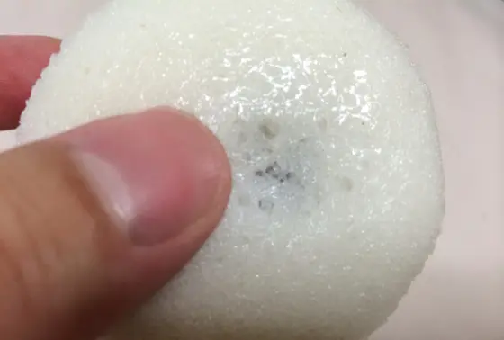 不老軒といえば、かるかん