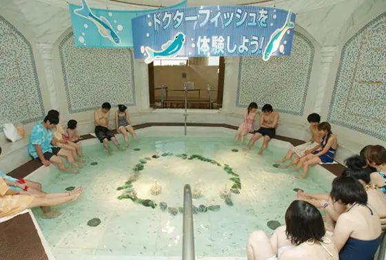 足の角質が格好のご馳走!?「ドクターフィッシュ」