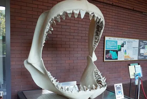 巨大ザメの口に入って記念撮影もOK!