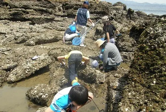☆無人島上陸とエサやり体験クルーズ☆