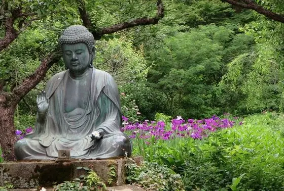 お庭とお花が綺麗なお寺です