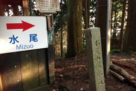 分かれ道