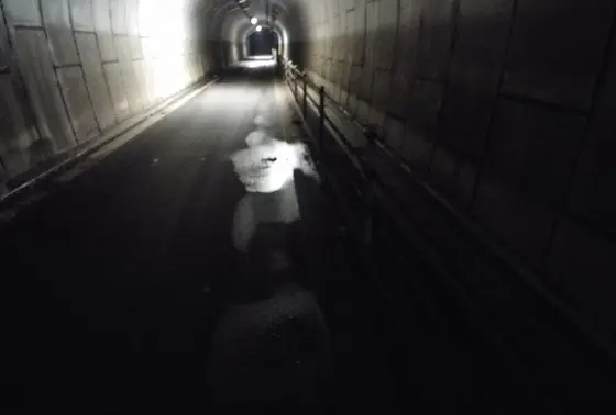 滴る