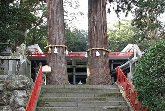 夫婦杉(門杉)