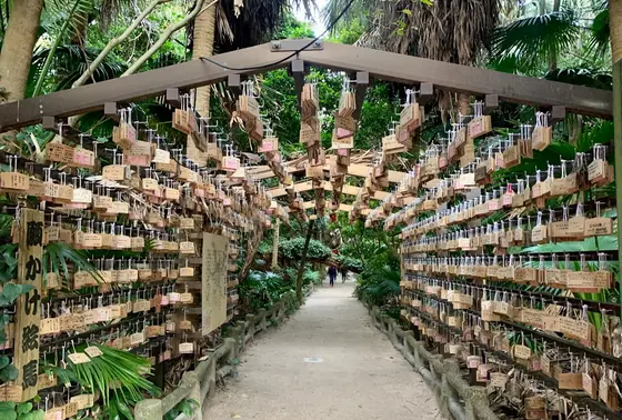 青島神社 「祈りの古道」