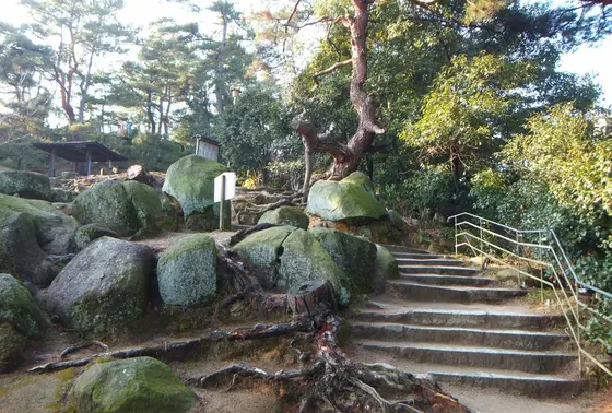 文学のこみち