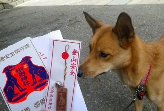 犬用のお守り！！