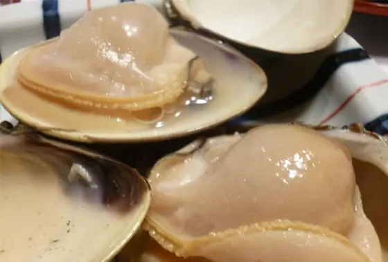 ぷっくりと大きな身