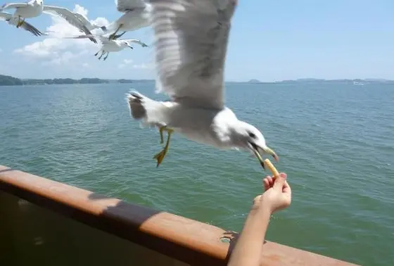 かっぱえびせん大好き！