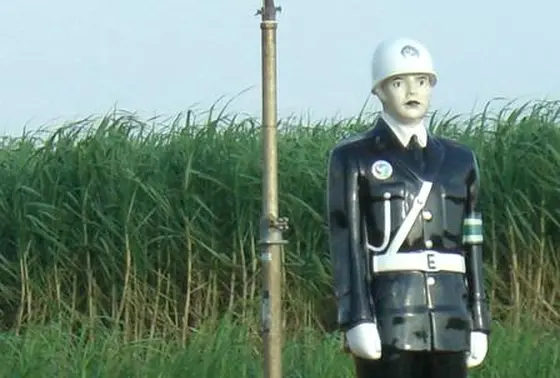 サトウキビ畑をバックに