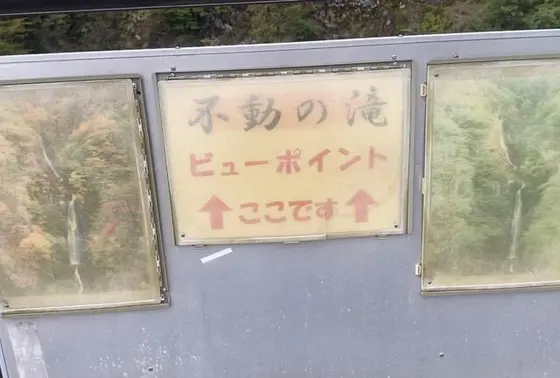 ビューポイント