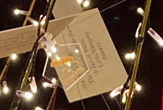 光り輝くオーナメント