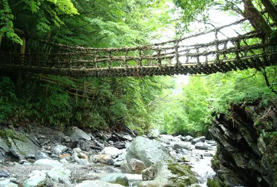 祖谷のかずら橋