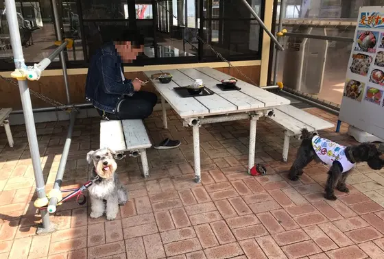 テラス席はワンちゃんOK