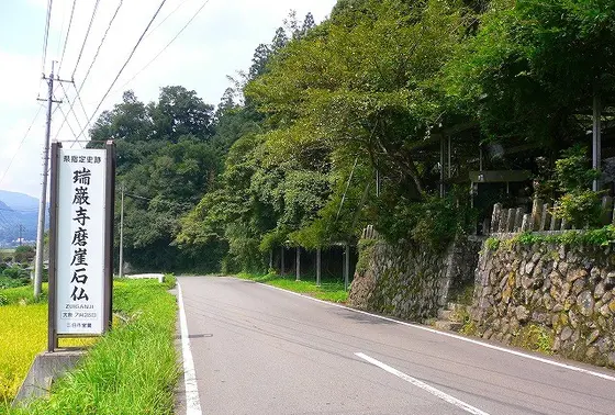 瑞巌寺のフジ