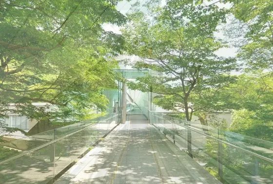 森の遊歩道