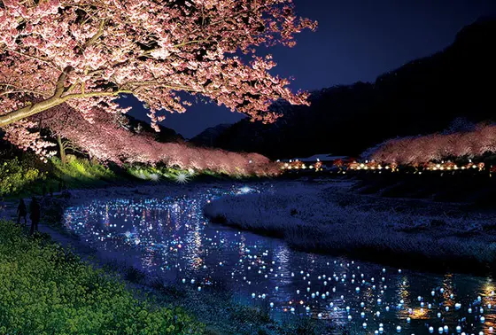 夜もおすすめ！
