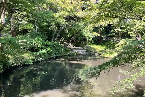 緑が美しい🌳