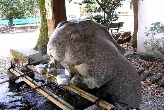 何処も彼処もウサギ！