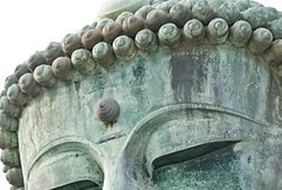 螺髪