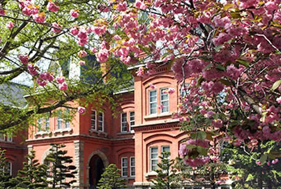 自然がいっぱい