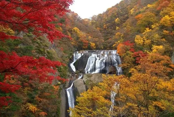 紅葉に映える滝