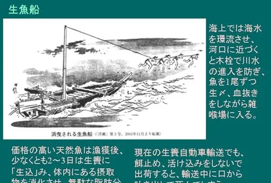 生魚船（なません）
