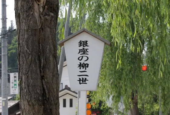 銀座の柳