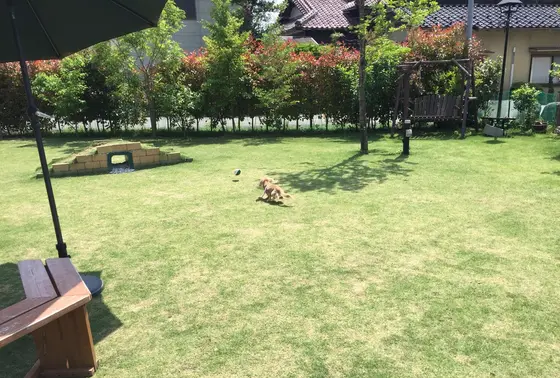 よく遊んでたな