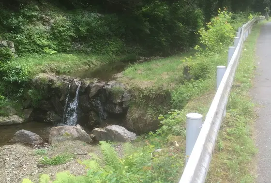 沢沿いの道を…