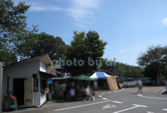 建物が古いのはご愛敬