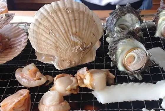 三浦半島まるかじり！