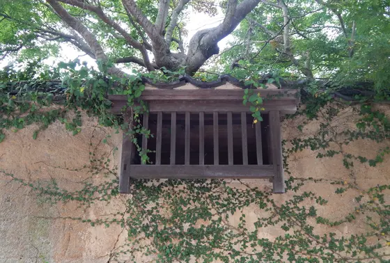 崩れかけた「練塀（ねりべい）」が時の流れを色濃く映す