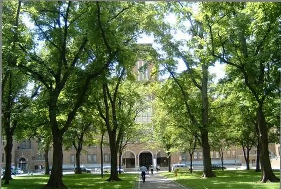 北海道大学