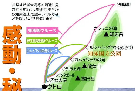 ヒグマウォッチングコース