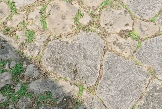 ハート石