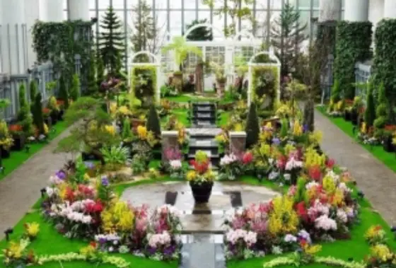 奇跡の星の植物館