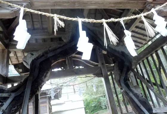 長寿祈願”輪抜け祓い所”