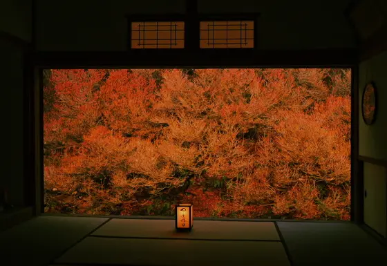 混雑で撮影が難しいかも