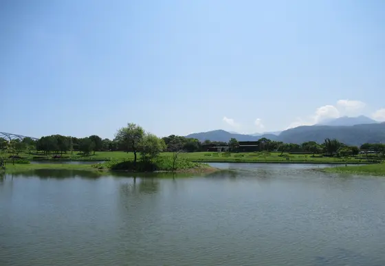 展望台からの景色