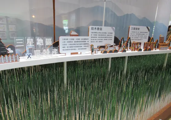 三星青葱文化館