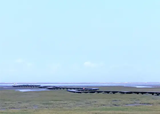 高美湿地