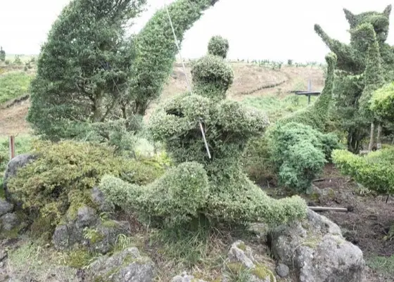 これ何か分かりますかー？？
