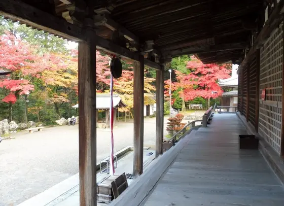 国宝の本堂