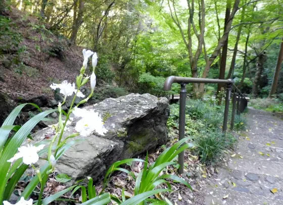 清水谷川公園